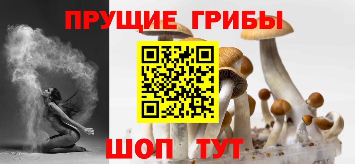 Галлюциногенные грибы Ликино-Дулёво